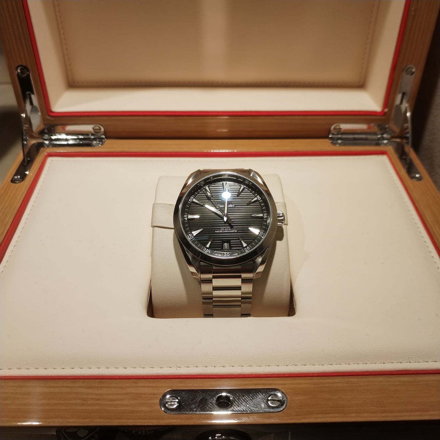 Omega Seamaster Aquaterra
