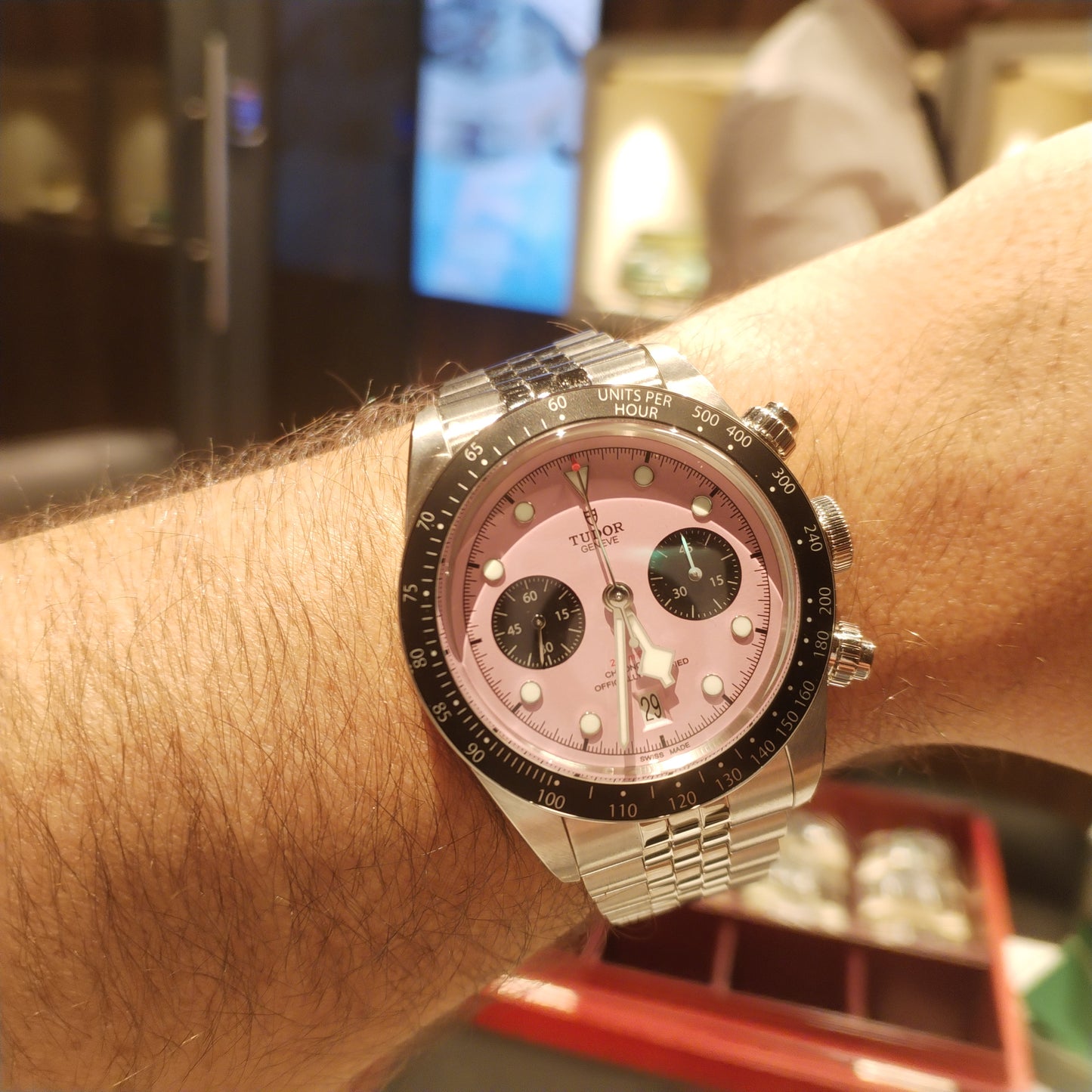 Tudor InterMiami Pink Panda