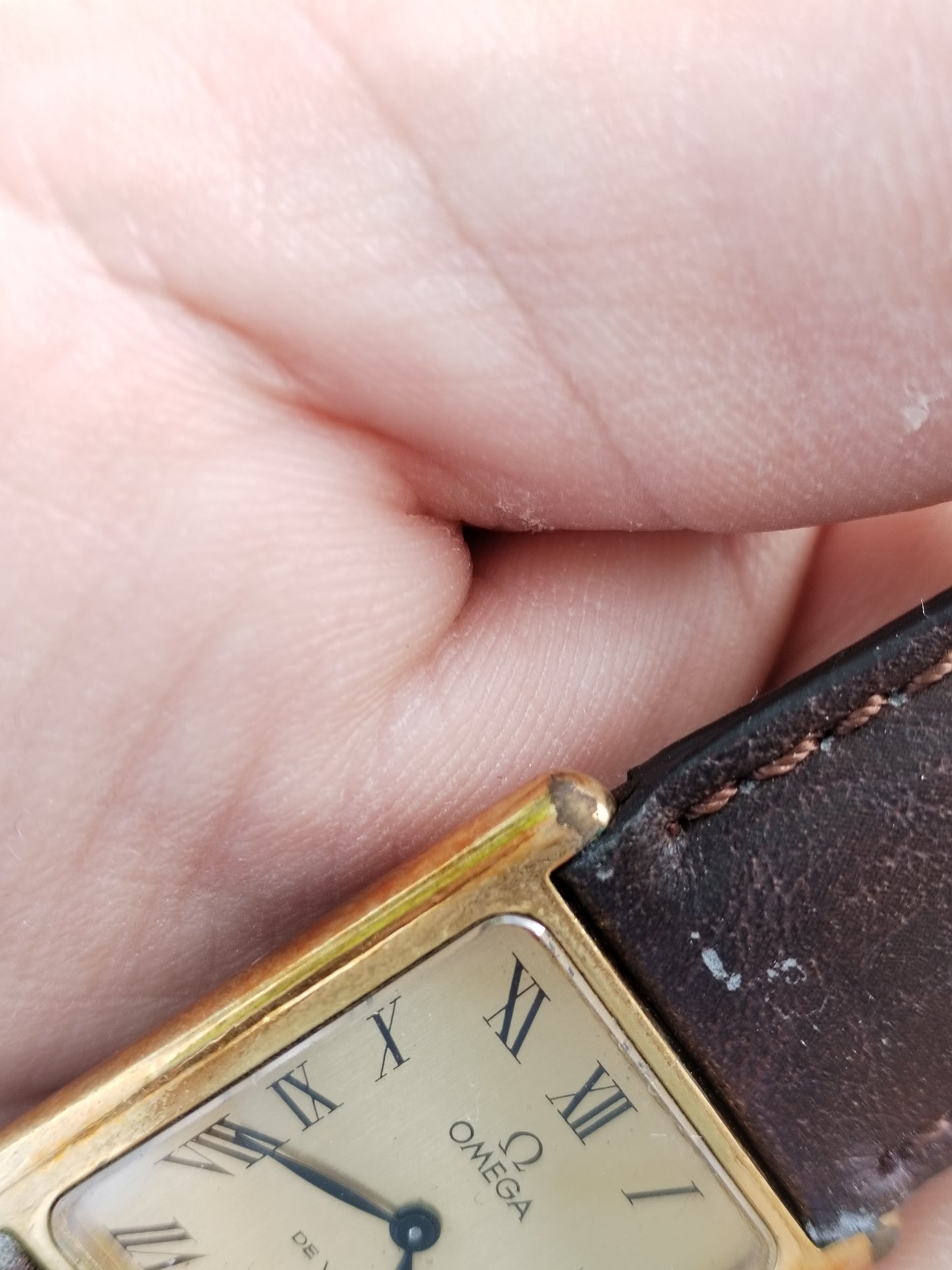 Omega De Ville Tank